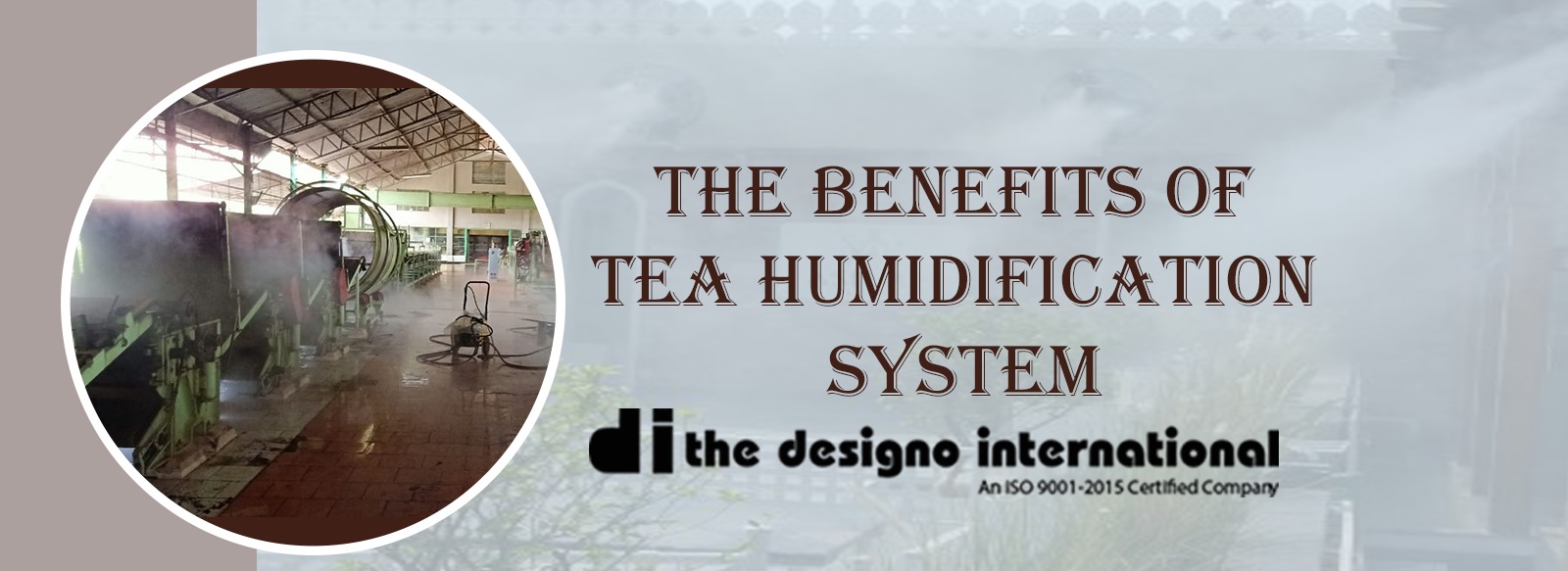 The Benefits of Tea Humidification System: Enhancing the Tea Quality Industry with The Designo International’s Innovation TO Enhance The Quality of Tea.